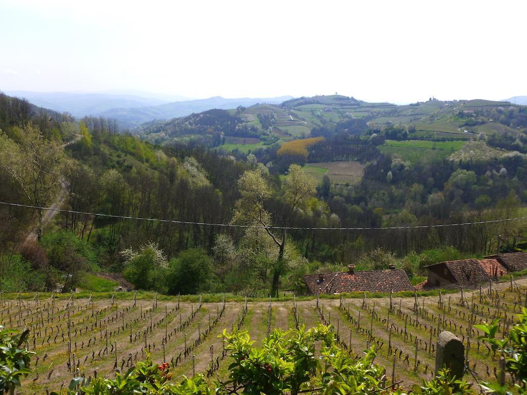 Bed And Breakfast Val D'Oche Castel Boglione Экстерьер фото